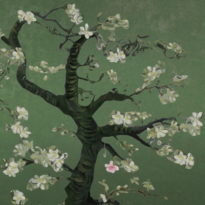 老男人夜生活与女人视频
